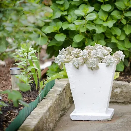 Matic * ドゥブロブニク